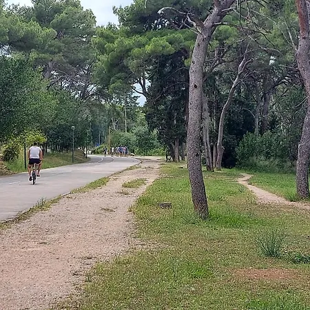 Lejlighed Little Cherry Split