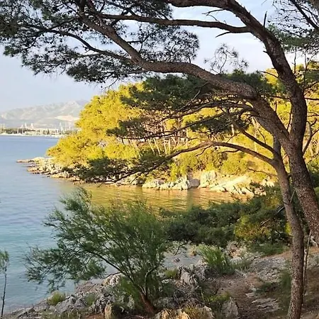 Little Cherry * Split