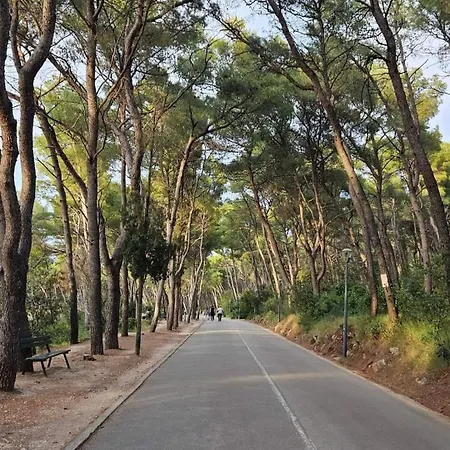 Little Cherry Lejlighed Split